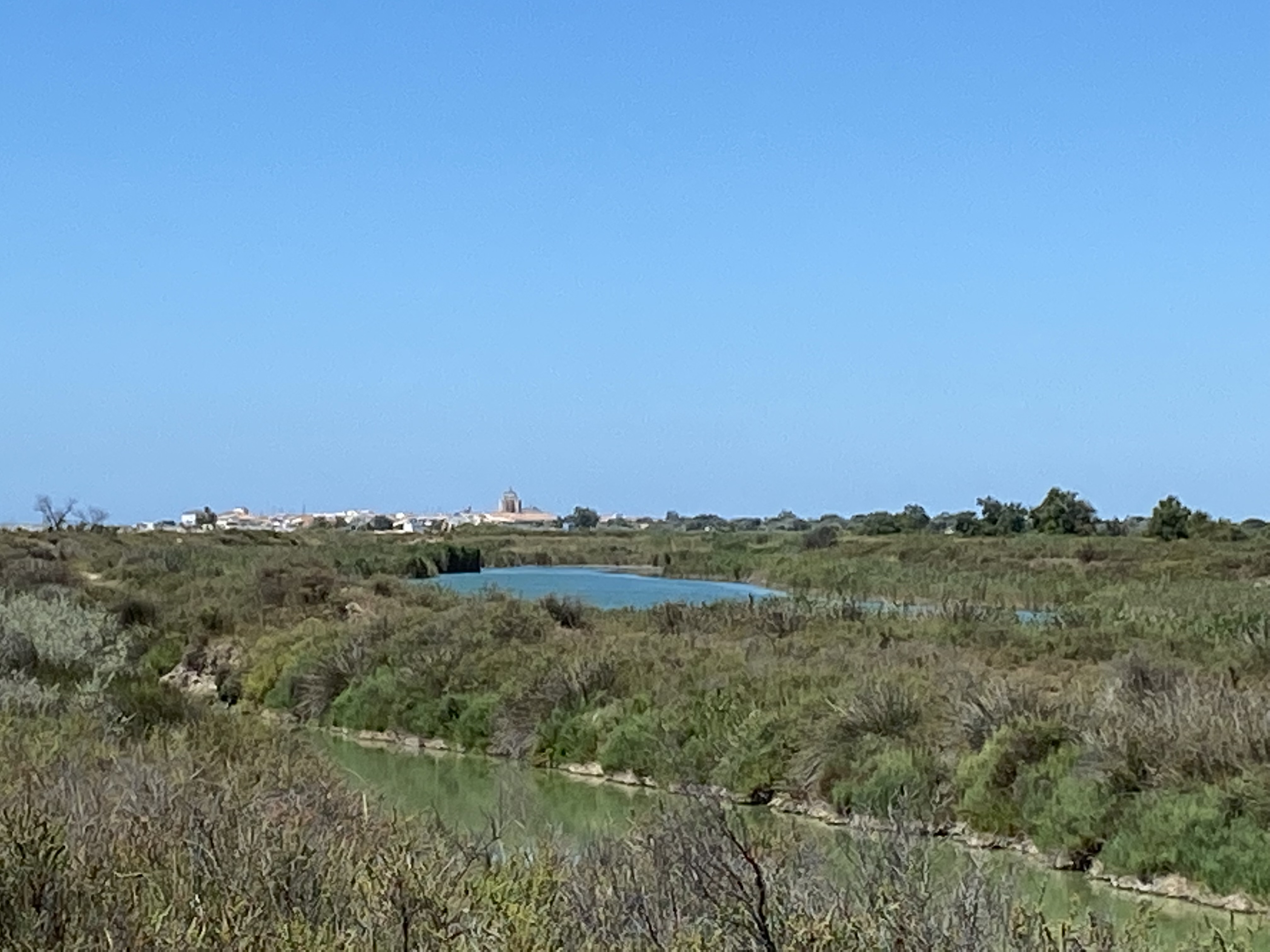 parco della camargue